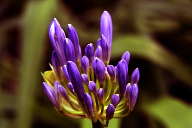 些为梦想全 些为梦想全